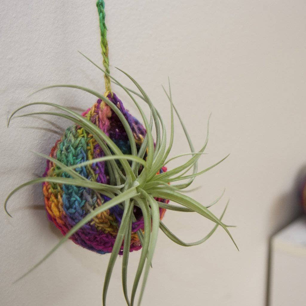 Close up of Tiered Air Plant Hanger on a white wall