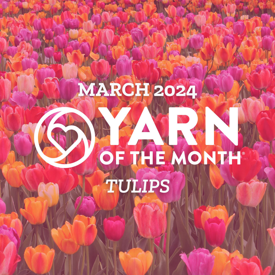 Darn Good Yarn of the Month - April 2024 'Tulips'
