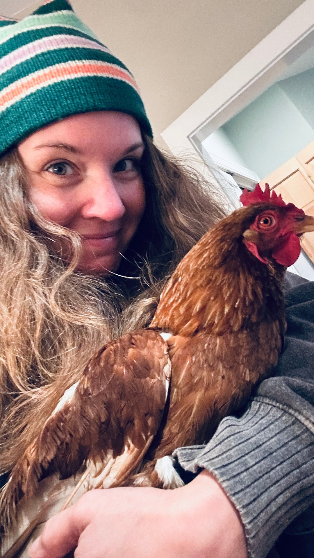 Chickens can see crazy color!