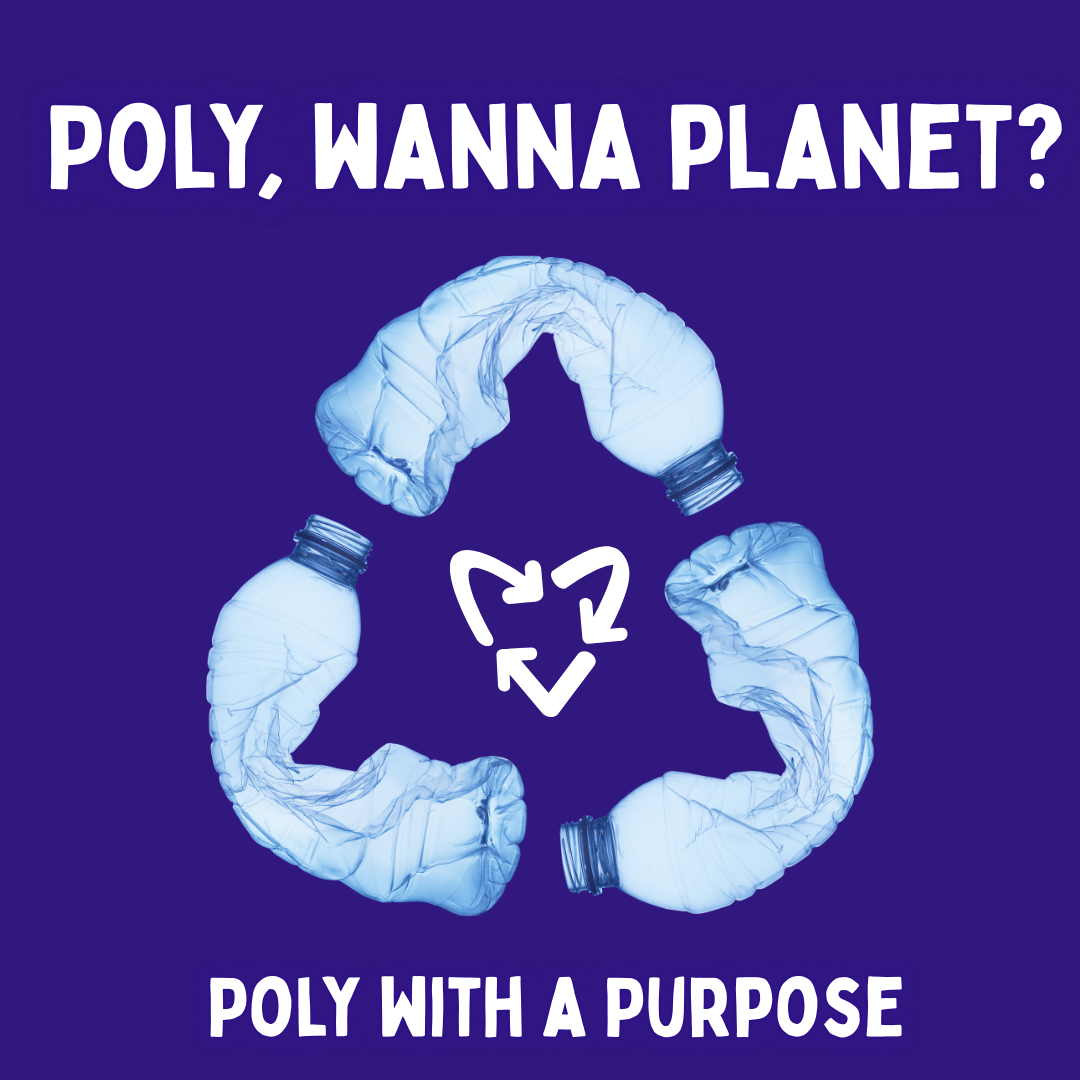 ♻️ Poly with a Purpose: Transforming Plastic into Beautiful Yarn