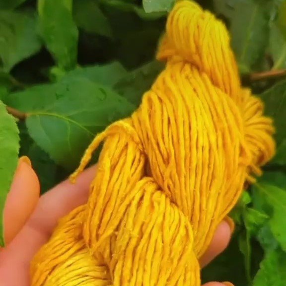 Can You Dye Yarn With Turmeric? - Darn Good Yarn