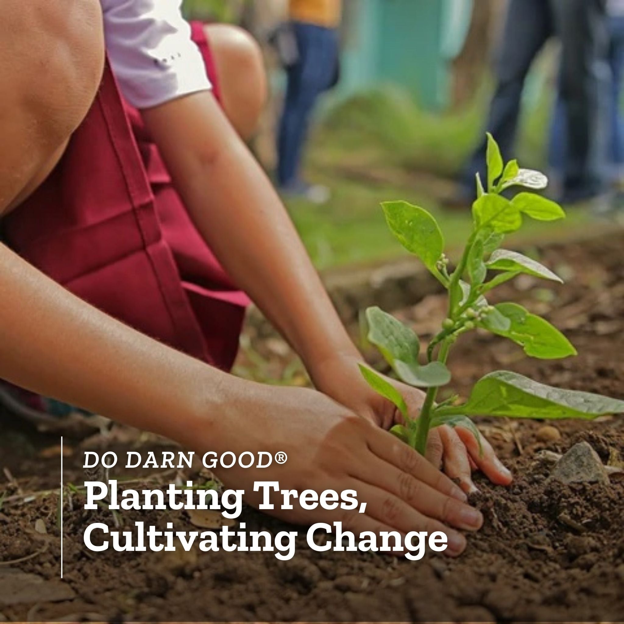 Do Darn Good®: Planting Trees, Cultivating Change