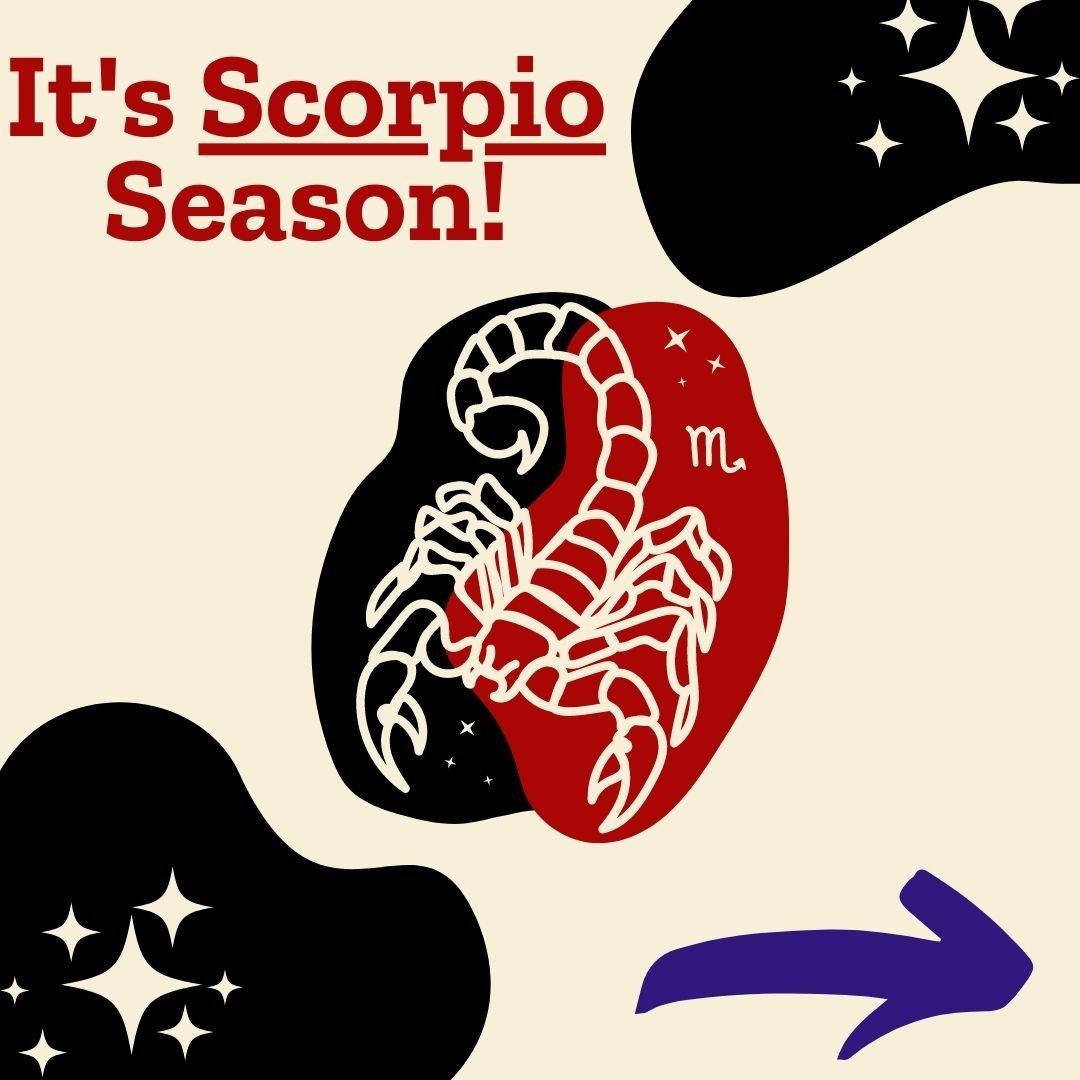 Gift Ideas for the Scorpio in Your Life - Darn Good Yarn