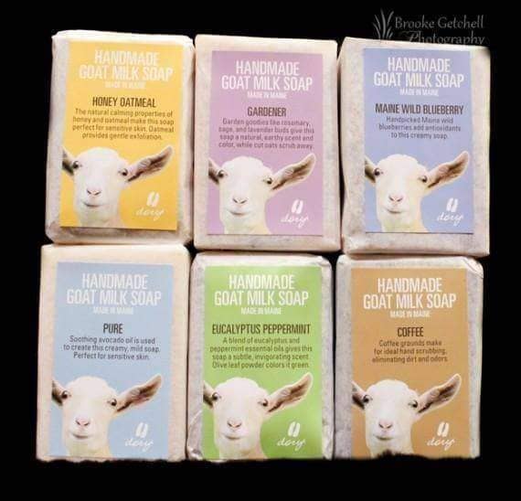 Meet and Greet!: Che Sweetland from Meadowfly Farms - Darn Good Yarn - Darn Good Yarn