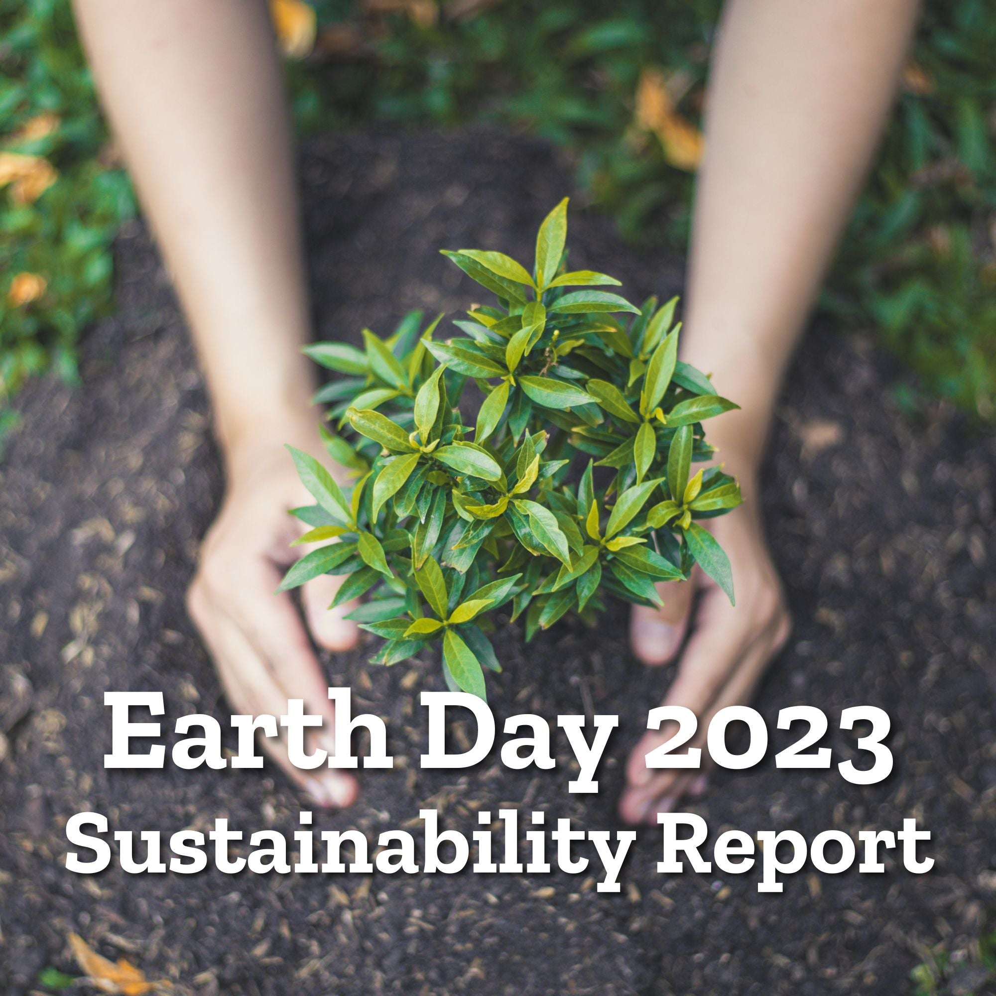 Sustainability Report - Q1 2023 - Darn Good Yarn