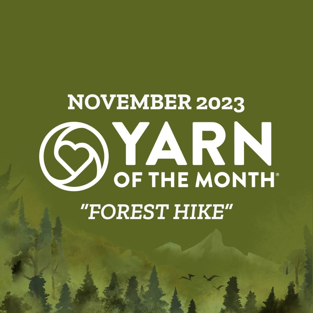 Yarn of the Month - November 2023 - Darn Good Yarn