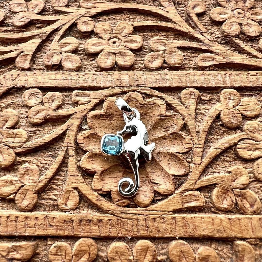 Darn Good Yarn: Sam's Serendipity Finds -  Pick Your Own Item: Sterling Silver Pendant: Seahorse with Blue Topaz (comes with travel jewelry case), Clothing and Accessories