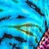 Limited Edition: Woodstock Dreams Collection Plus Size Rayon Tie-Dye Flare Wide-Leg Pants
