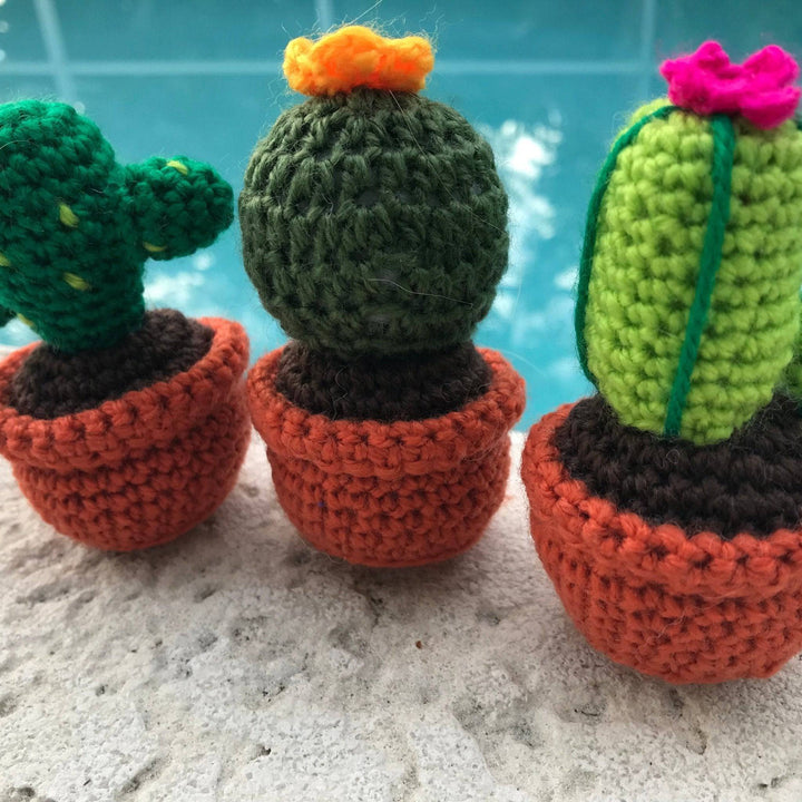 Colorful Cacti Amigurumi Kit - Darn Good Yarn