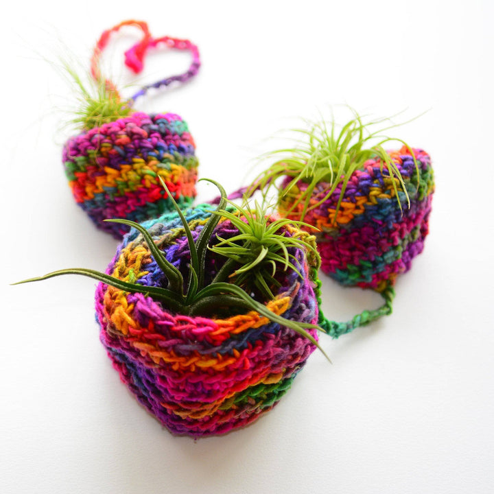 Tiered knit Air Plant Hanger filled with air plants on a white background