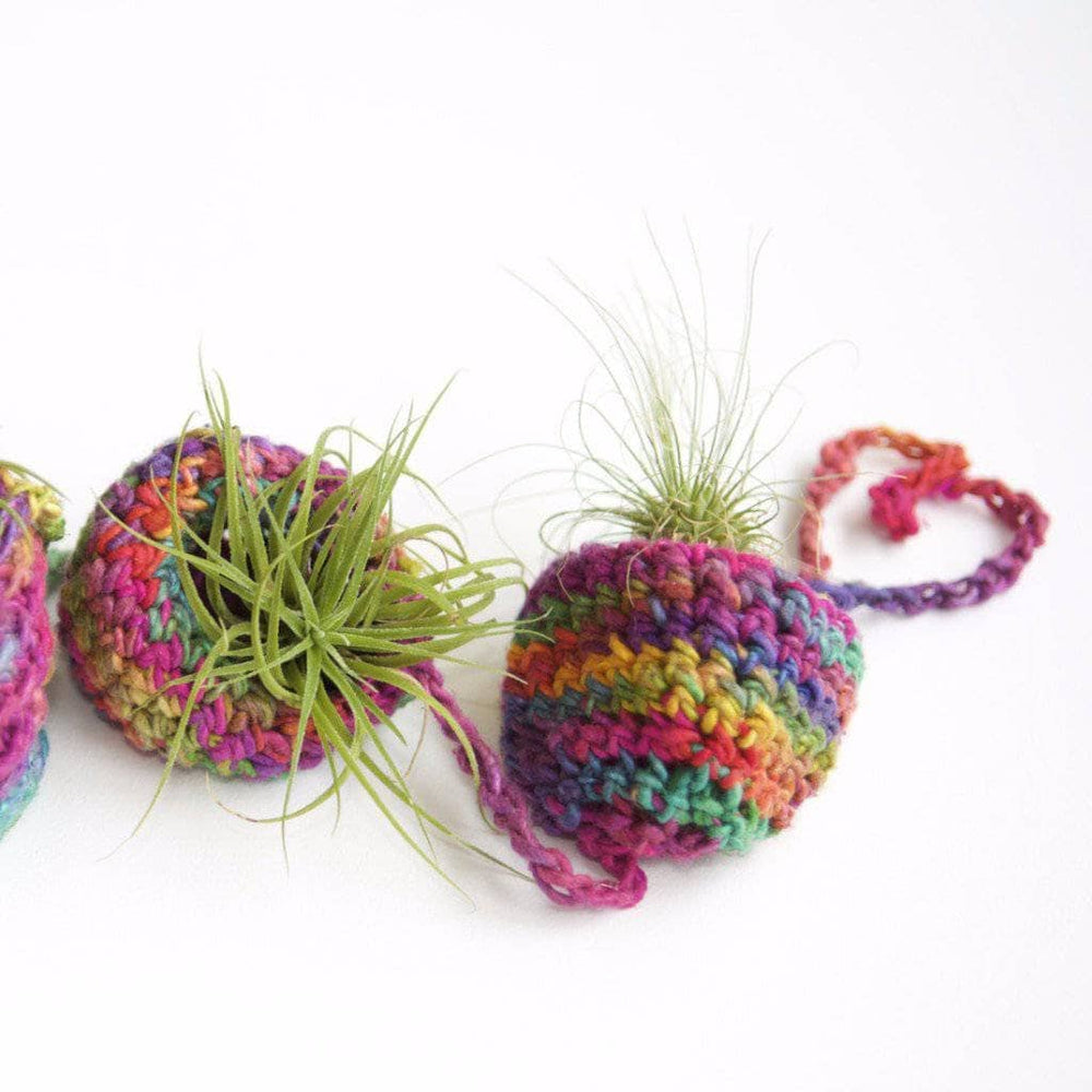 Close up of Tiered Air Plant Hanger on a white wall