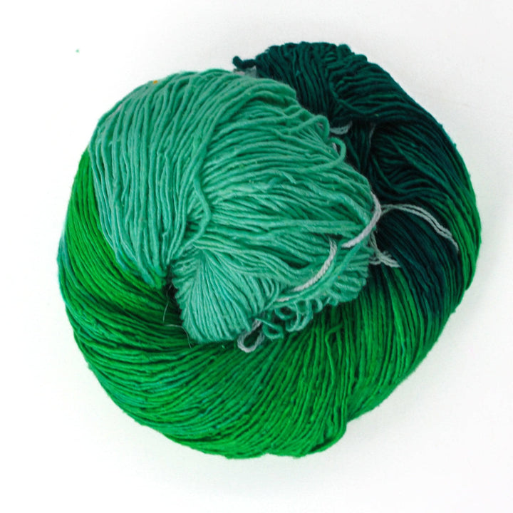 variegated ombre lace weight green in front of a white background.