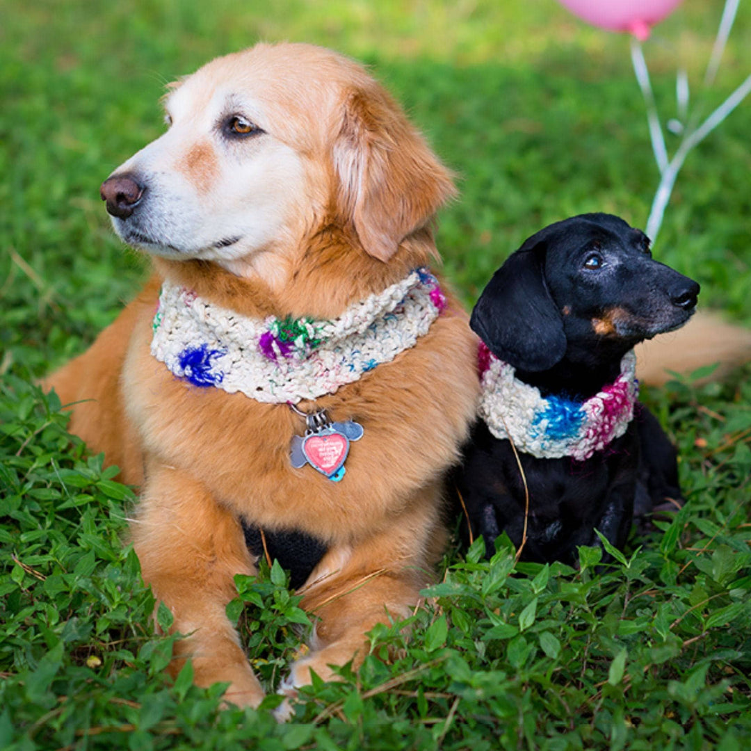 Two dogs sitting in grass wearing celebration canine knit scarves next to a balloon