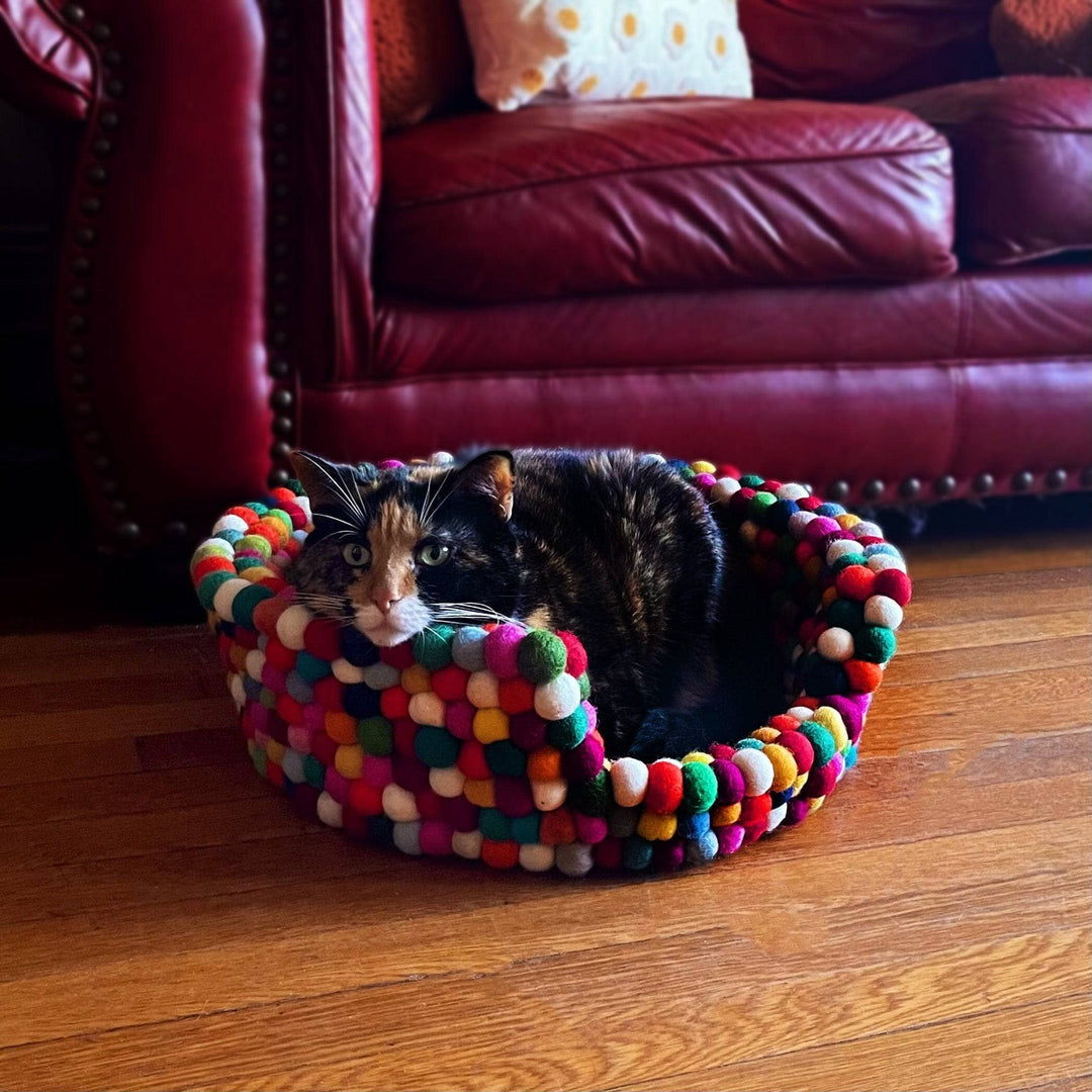Black and brown cat sitting in a pet bed made out of colorful felt balls. Pet bed sits in front of a red couch
