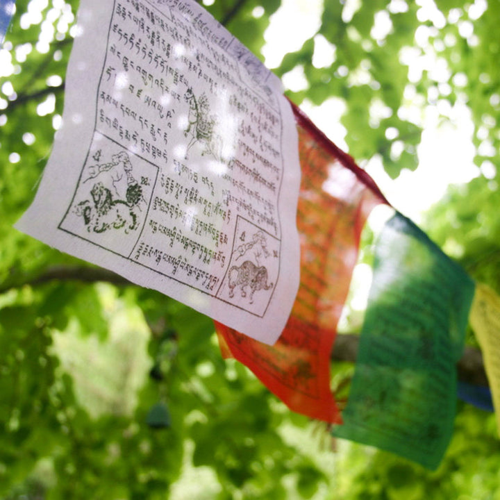 Close-up view of a white tibetan prayer flag hanging in a tree