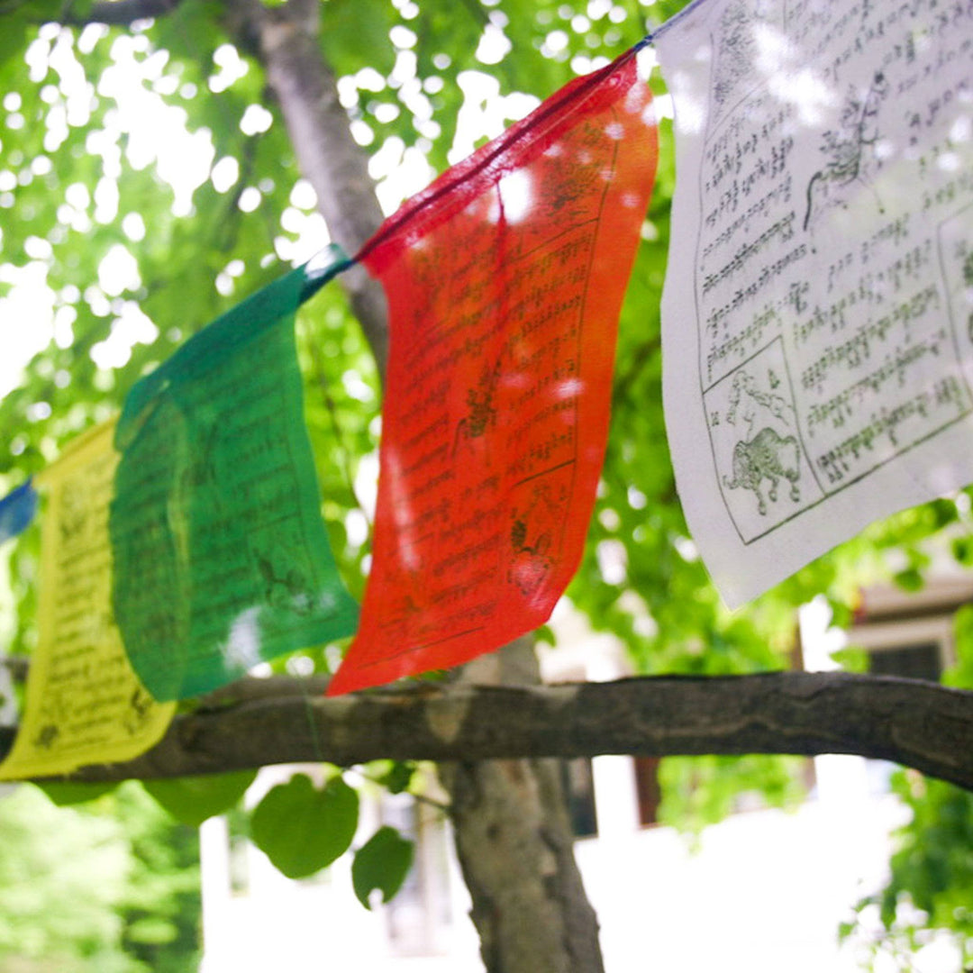 Yellow, Green, Red and White Tibetan Prayer Flags Hanging in Tree