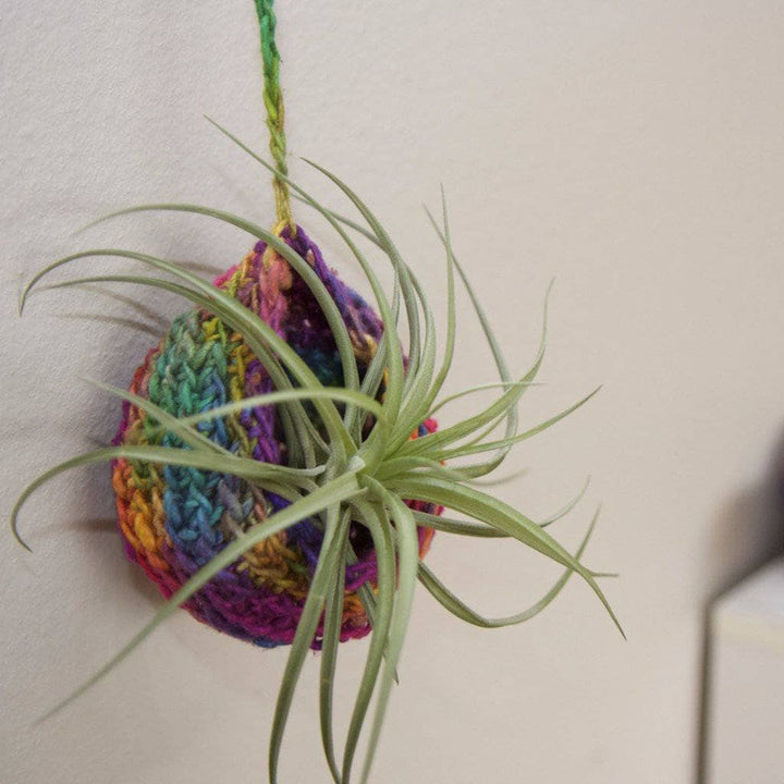 Close up of Tiered Air Plant Hanger on a white wall